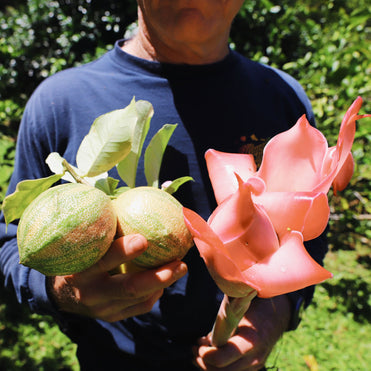 Farmer holding fruit and pink flower