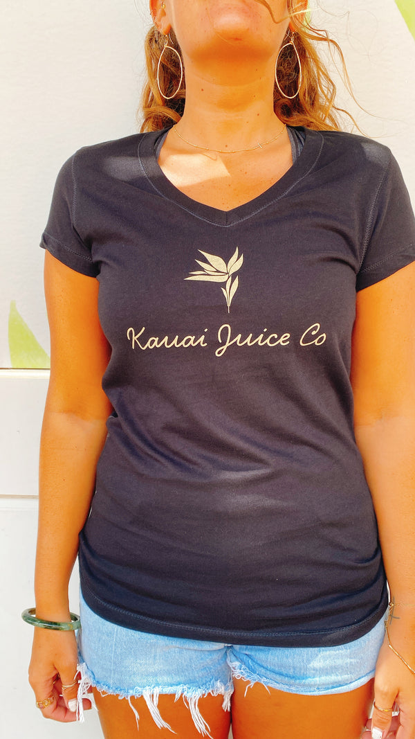 Ultra Soft Black V-neck Every Day Tee