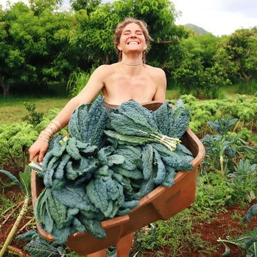 Farmer holding bin of fresh greens