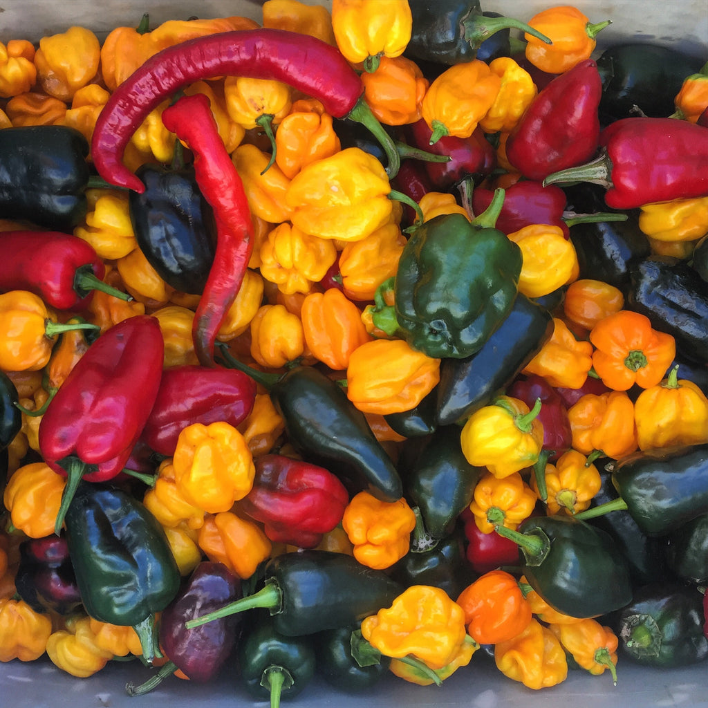 pile of multiple styles of pepper