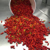 bucket of red and yellow peppers