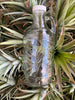 32 oz clear Kauai Juice Co bottle on pineapples